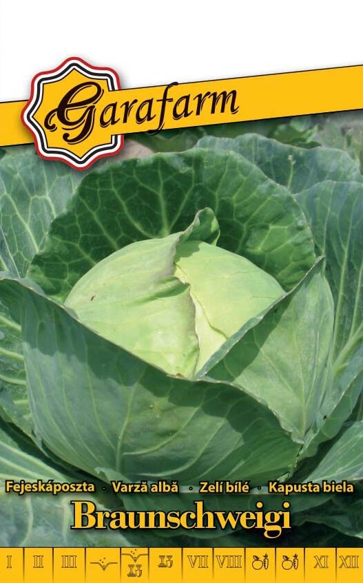 Garafarm zöldség Fejeskáposzta Braunschweiger 1,5g