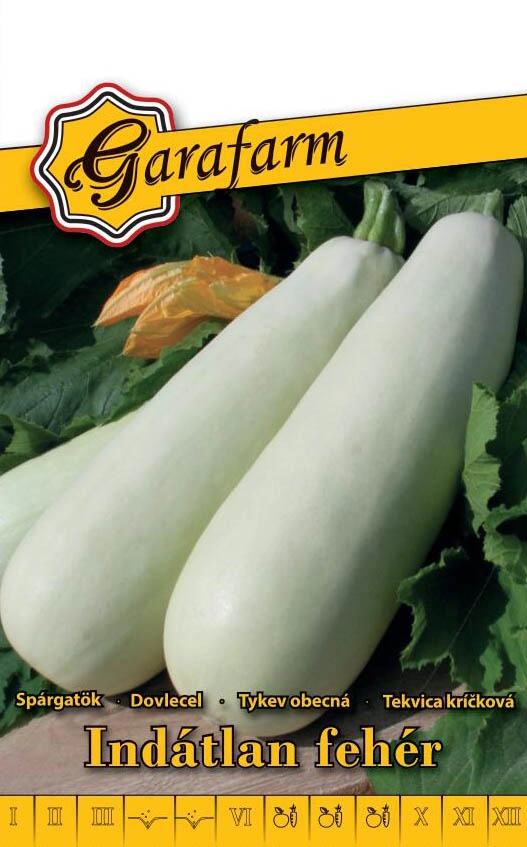 Garafarm zöldség Spárgatök Indátlan fehér 3g