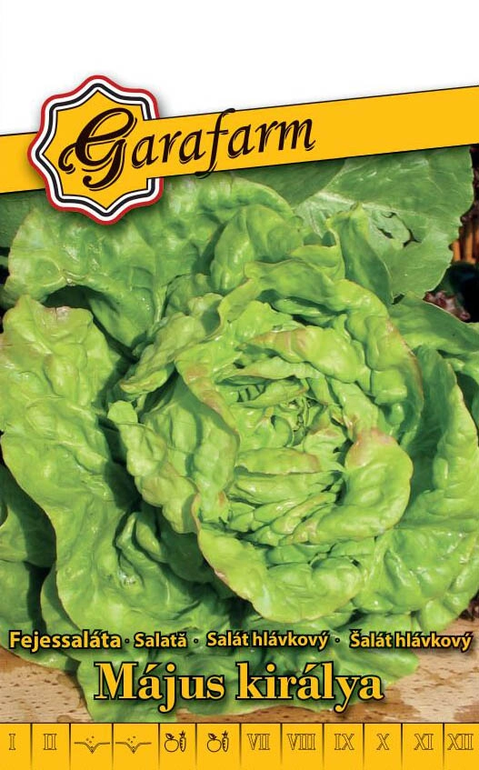 Garafarm zöldség Saláta Május királya 2g