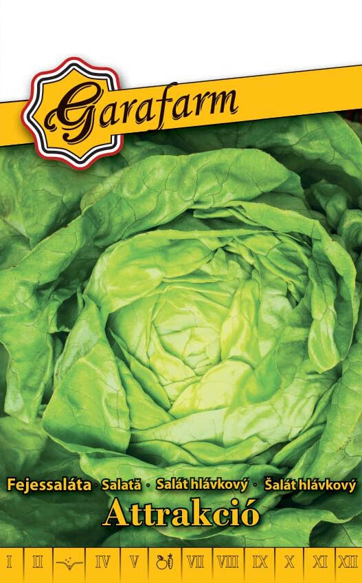 Garafarm zöldség Saláta Attrakció 2g