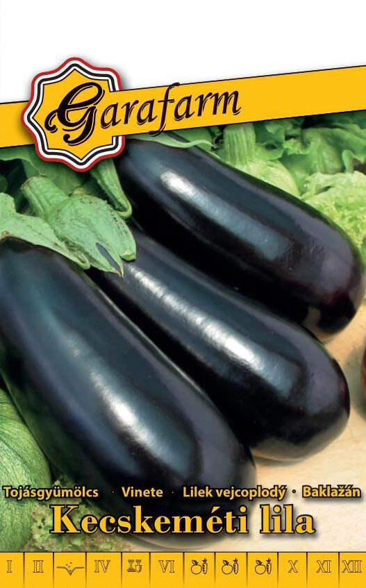 Garafarm zöldség Tojásgyümölcs Kecskeméti lila 1g