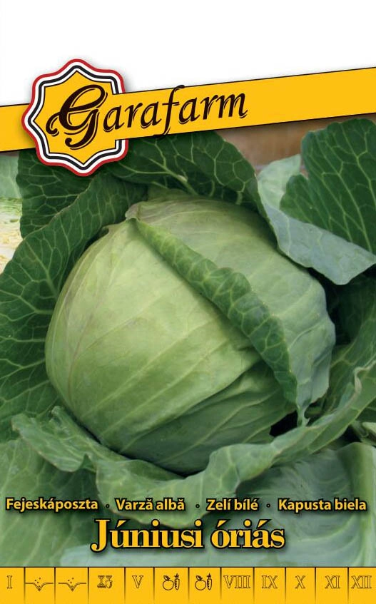 Garafarm zöldség Fejeskáposzta Júniusi óriás 1,5g