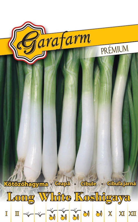 Garafarm Premium zöldség Kötözőhagyma Long White Koshigaya 1g