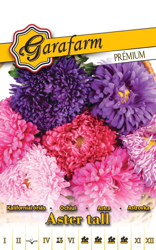 Garafarm Premium virág Őszirózsa Kaliforniai óriás színkeverék 1g