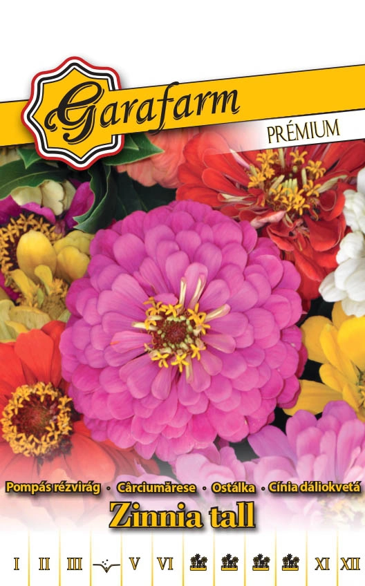 Garafarm Premium virág Pompás rézvirág Kaliforniai óriás színkeverék 1g