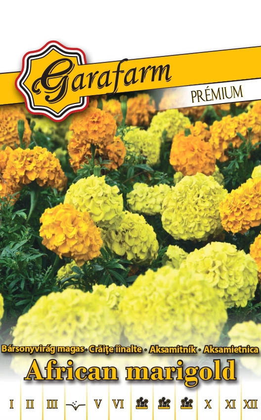 Garafarm Premium virág Nagy bársonyvirág Színkeverék 1g