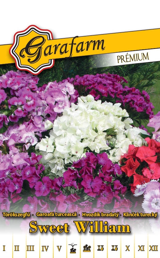 Garafarm Premium virág Törökszegfű Teltvirágú alacsony színkeverék 0,2g
