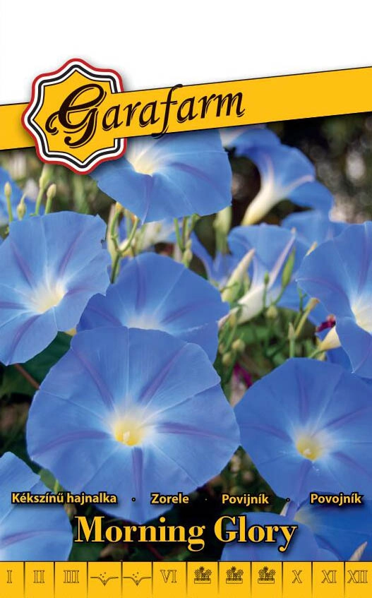 Garafarm virág Kékszínű hajnalka Világoskék 1,5g