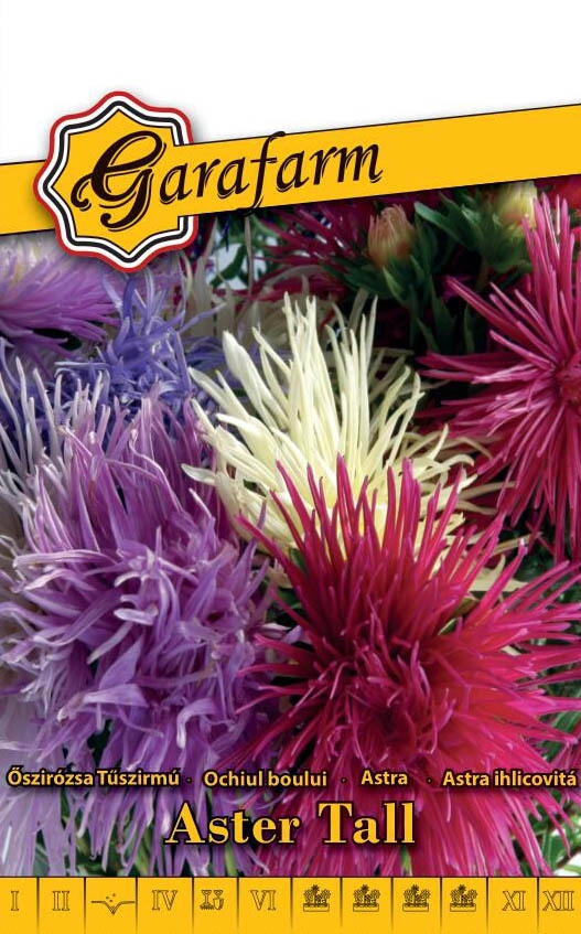 Garafarm virág Őszirózsa Tűszirmú színkeverék 0,5g