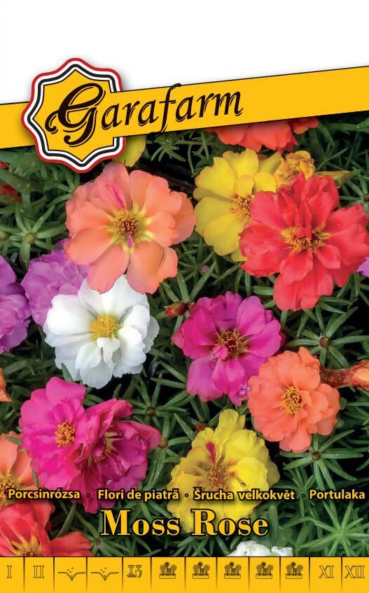 Garafarm virág Porcsinrózsa Alacsony színkeverék 0,1g