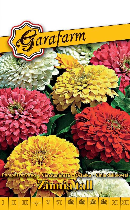 Garafarm virág Pompás Rézvirág dáliavirágú színkeverék 1g