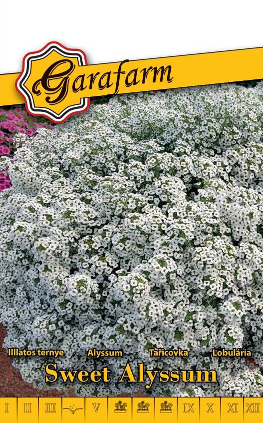 Garafarm virág Illatos ternye Fehér 0,5g