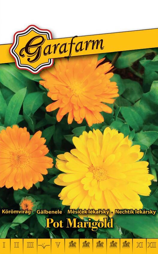 Garafarm virág Körömvirág Balls-féle magas színkeverék 2g