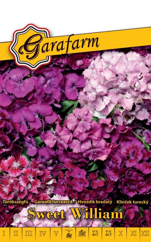 Garafarm virág Törökszegfű Teltvirágú magas színkeverék 0,5g