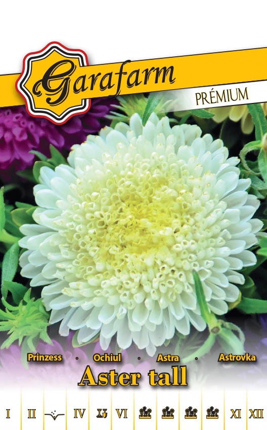 Garafarm Premium virág Őszirózsa Prinzess fehér 1g