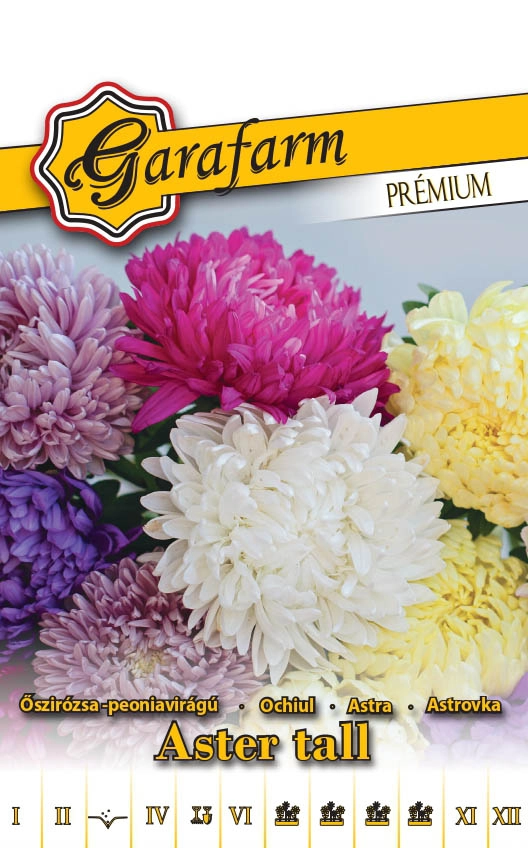 Garafarm Premium virág Őszirózsa Peoniavirágú színkeverék 0,5g