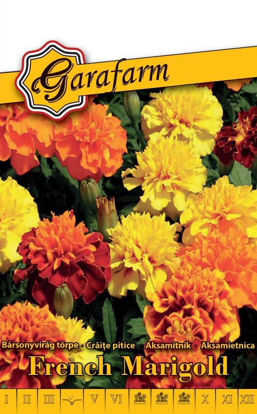 Garafarm Törpe bársonyvirág Bonita színkeverék 0,5g