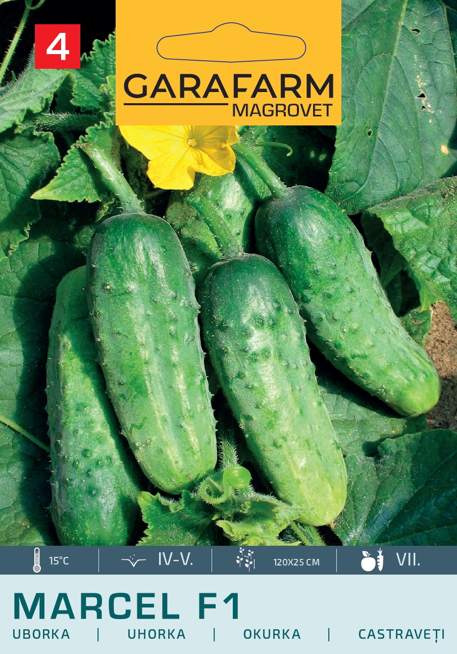 Garafarm Uborka Marcel F1 2g