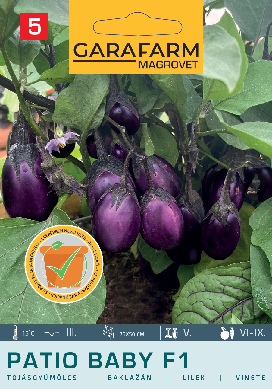 Garafarm Tojásgyümölcs Patio Baby F1   5mag